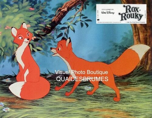 Rox Et Rouky - The Fox And The Hound, Walt Disney: Jeu De 12 Photos D'exploitation Cinématographique - Format 21x27 Cm - De Ted Berman, Richard Rich & Art Stevens - 1981 (Réédition)