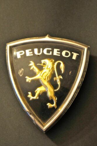 Ecusson De Calandre Pour Peugeot 403