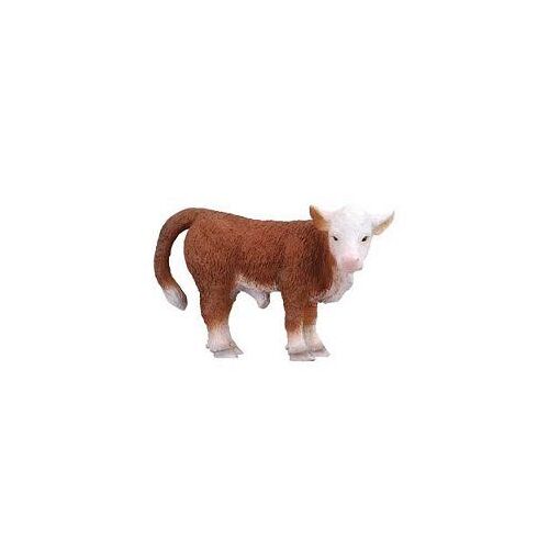 Vache - Veau Hereford