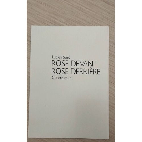 Lucien Suel "Rose Devant Rose Derrière" Contre-Mur, 2009.