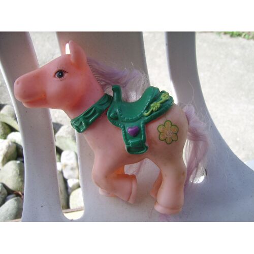 Poney