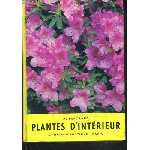 Plantes D'interieur