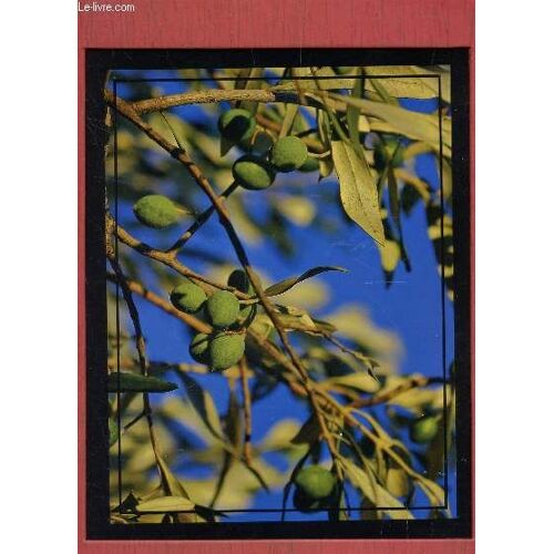 Le Livre-Cadre :  Un Concept Original De Portefolio Livre Dans Une Boite Cartonnee Servant De Cadre Afin De Mettre En Valeur Chacune  Des Photos.