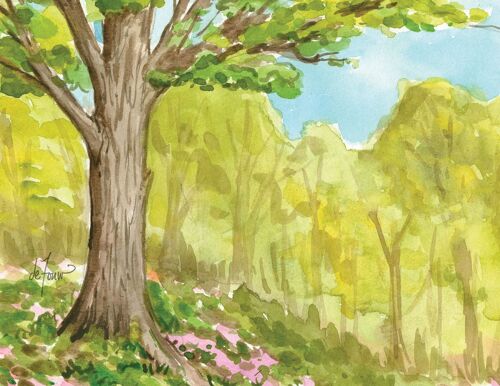 The Seasons Boxed Notecard Assortment (Jenny Geuder Art)