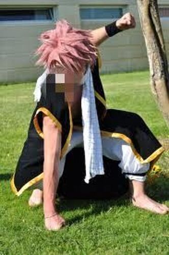 Rose Natsu Perruque Wig Cosplay Soirée Déguisement Costume Mode Belle Qualité