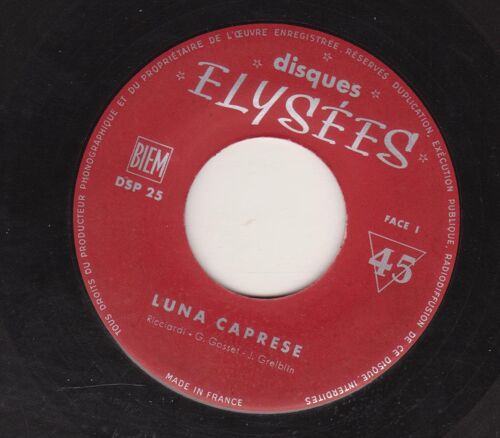 Luna Caprese Quand Vous Portiez Une Tulipe When You Wore A Tulip