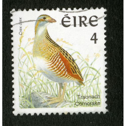 Timbre Oblitéré Éire 4, Crex Crex, Traonach Corncrake,