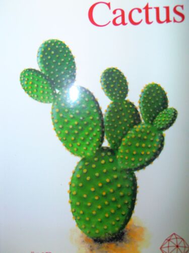 Cactus