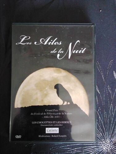 Les Ailes De La Nuit