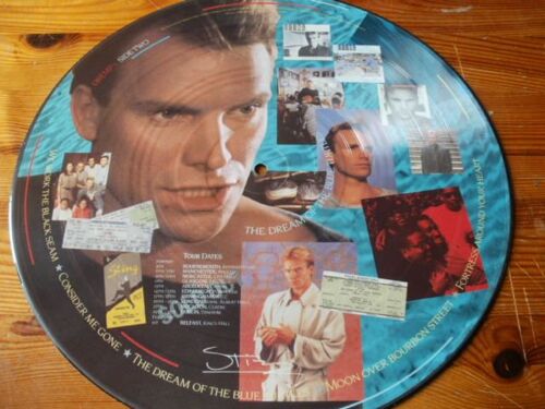 The Dream Of The Blue Turtles