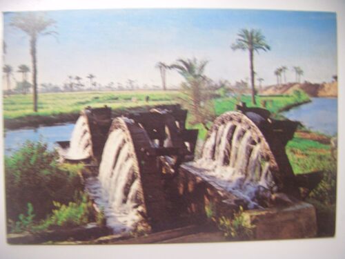 Carte Postale D'egypte: Fayoum, La Roue À Eau