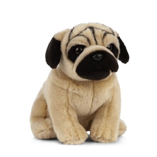 Living Nature- An454 Pets Carlin En Peluche, Unknown