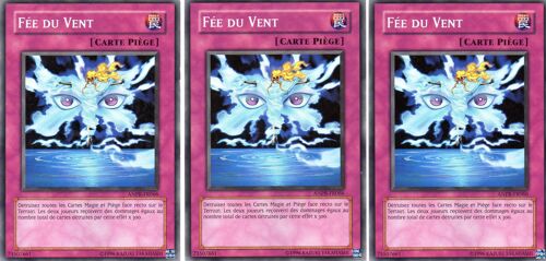 Fee Du Vent  X3   -   Anpr-Fr066