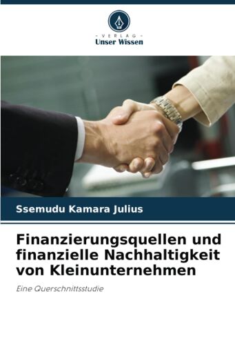 Finanzierungsquellen Und Finanzielle Nachhaltigkeit Von Kleinunternehmen