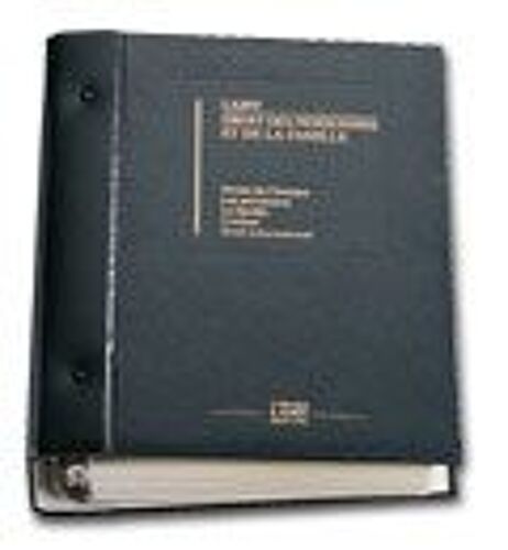 Lamy Droit Des Personnes Et De La Famille