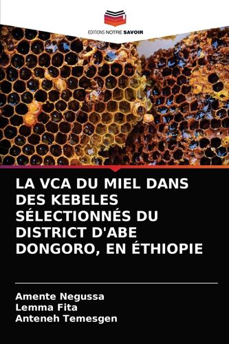 La Vca Du Miel Dans Des Kebeles Sélectionnés Du District D'abe Dongoro, En Éthiopie