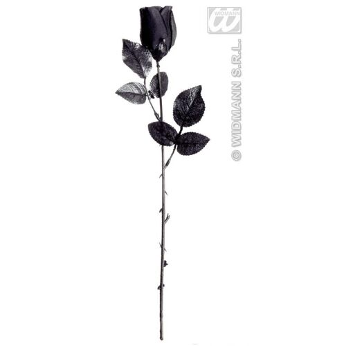 Rose Noire