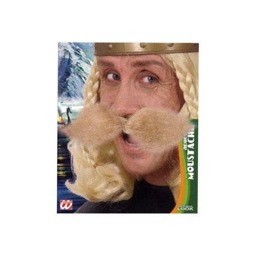 Grosses Moustaches De Gaulois Blonde