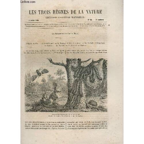 Les Trois Regnes De La Nature - Lectures D'histoire Naturelle / Deuxieme Annee  - N°80 - 8 Juillet 1865 / Les Ravageurs Des Forets (Suite) / L'hylobe Du Pin - Le Pissodes Note - Les Pyrales ...