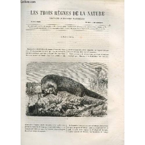 Les Trois Regnes De La Nature - Lectures D'histoire Naturelle / Troisieme Annee  - N°127 - 2 Juin 1866 / Le Renard (Suite).
