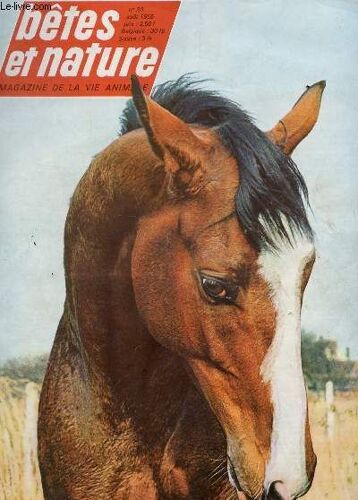 Bete Et Nature - N°20 - Aout 1965 / Redevenus Sauvages, Les Chiens D'amanda - Oran Outan A L'air Songeur - La Vie Sauvage Du Delta Du Danube - Abeilles, Lavandes Et Lanvandins Etc...