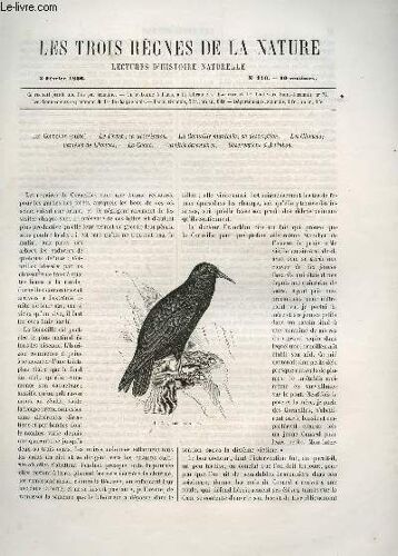 Les Trois Regnes De La Nature - Lectures D'histoire Naturelle / Troisieme Annee  - N°110 - 2 Fevrier 1866 / Les Corbeaux (Suite) - Le Freux - La Corneille Mantelee - Les Choucas - Varietes ...