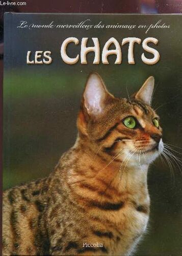 Le Monde Merveilleux Des Animaux En Photos : Les Chats.
