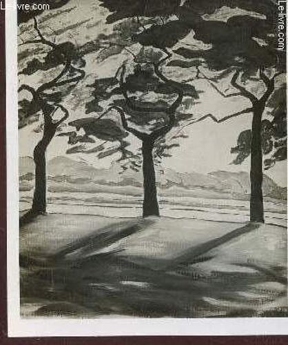 Photo-Carte En Noir Et Blanc / Paysage  : Arbres.