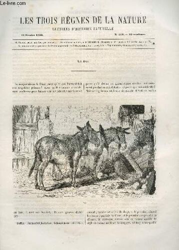 Les Trois Regnes De La Nature - Lectures D'histoire Naturelle / Troisieme Annee  - N°112 - 17 Fevrier 1866 / Les Anes (1ere Partie).