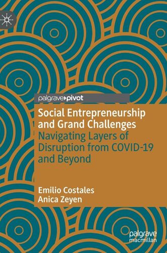 Social Entrepreneurship And Grand Challenges