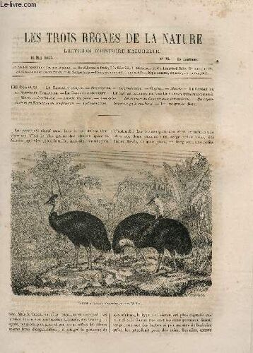 Les Trois Regnes De La Nature - Lectures D'histoire Naturelle / Deuxieme Annee  - N°72 - 13 Mai 1865 / Les Casoars : A Casque - De La Nouvelle Hollande - De Bennett - Bicaroncule -  Etc...
