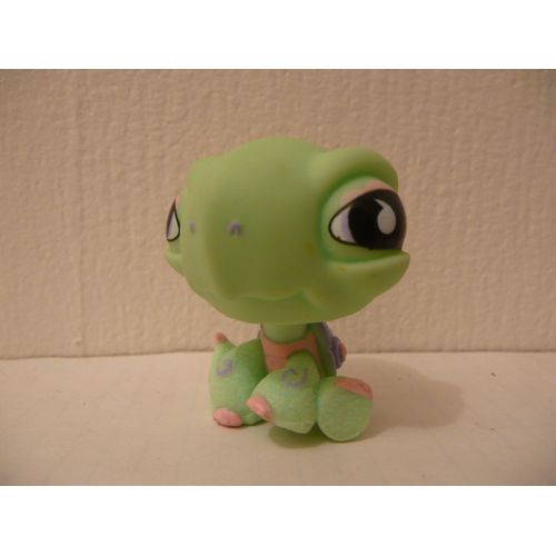 Petshop Tortue N°922