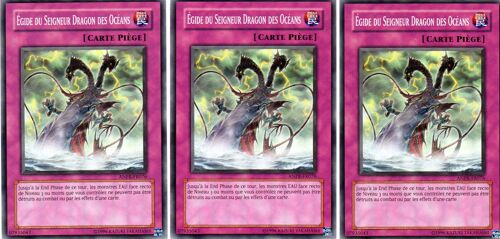 Egide Du Seigneur Dragon Des Oceans  X3   -  Anpr-Fr076