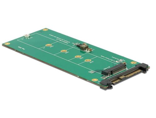 Delock Converter U.2 SFF-8639 NVMe > 1 x M.2 Key M - Adaptateur d'interface - M.2 - M.2 Card - U.2