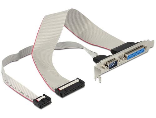 Delock - Panneau série/parallèle - DB-9, DB-25 pour IDC 25 broches, IDC 9 broches (F) - 30 cm
