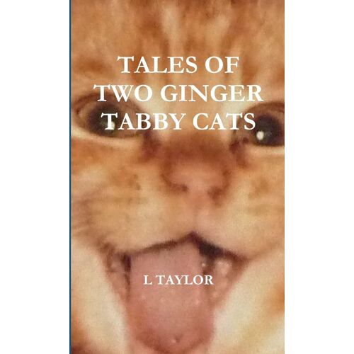 Tales Of Two Ginger Tabby Cats