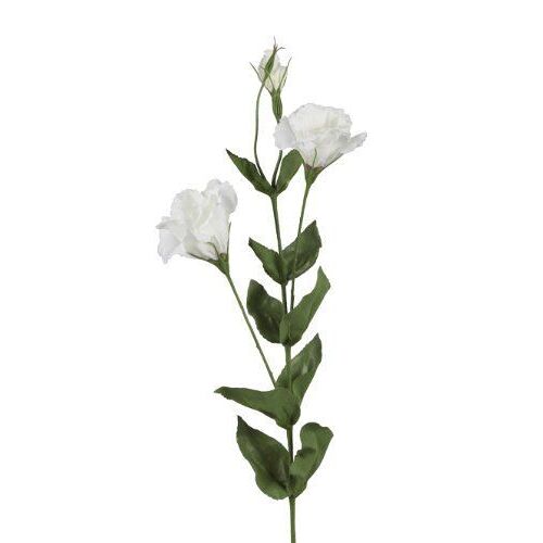 Bellafiora 01AMAZ022514 Fleurs Artificielles Lisanthus 2 Fleurs Blanc 80 cm