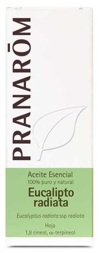Eucalyptus Radiata Essential Oil 