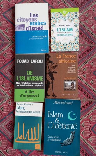 Lot 6 Livres Spécial Islam: L'islam En 40 Questions + Islam, Les Questions Qui Fâchent + De L'islamisme+ La France Africaine + Islam Et Chrétienté + Les Citoyens Arabes D'israël.