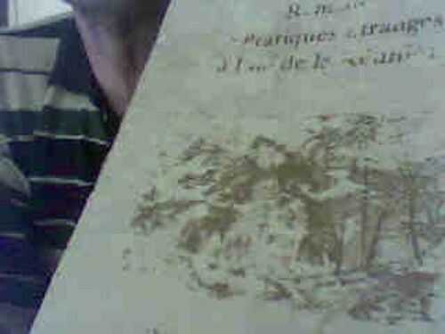 Remèdes Et Pratiques Étranges À L'ile De La Réunion, Guérison Par Les Plantes