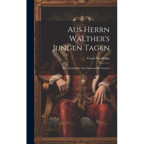Aus Herrn Walther's Jungen Tagen: Eine Geschichte Aus Oesterreichs Vorzeit.