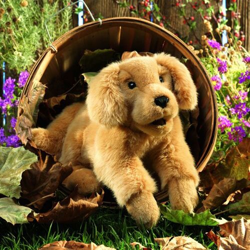 Peluche Marionnette Golden Retriever 43 Cm Folkmanis