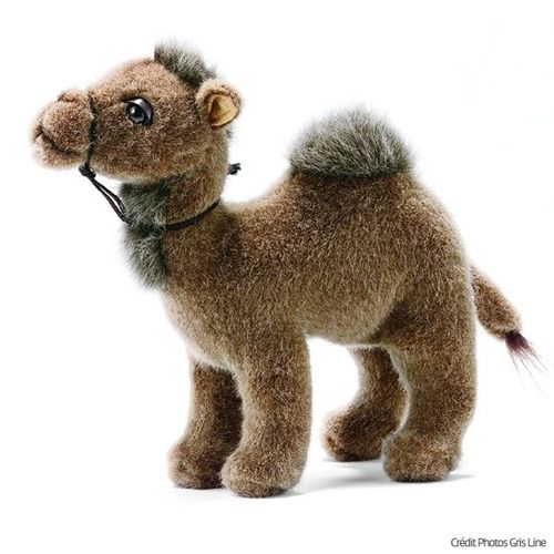 Peluche Dromadaire Bébé 21 Cm Anima