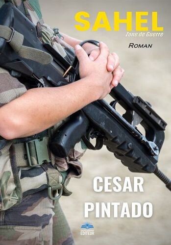 Sahel : Zone De Guerre