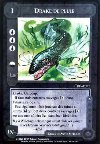 Carte Le Seigneur Des Anneaux : Les Sorciers - Drake De Pluie 1996