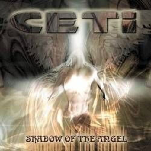 Shadow Of The Angel