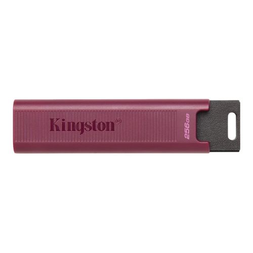 Kingston DataTraveler Max - Clé USB - 256 Go - USB 3.2 Gen 2