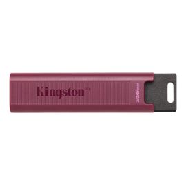 Clé USB Kingston DataTraveler Max 256 Go USB 3.2 Gen 2 Violet