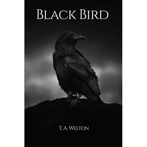 Black Bird