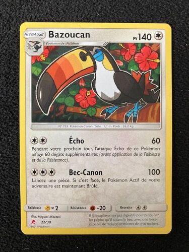 (1258) Bazoucan 22/30 Pokemon